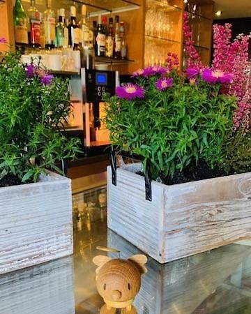 Weinhotel Eltvinum Эльтвилле Экстерьер фото